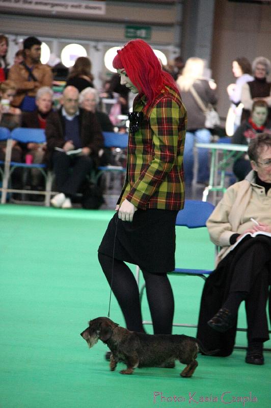 Crufts2011_2 845.jpg